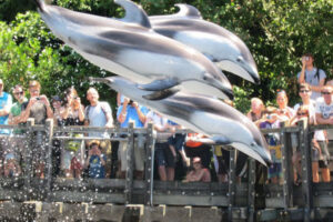 جاذبه های استنلی پارک