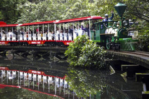 جاذبه های استنلی پارک