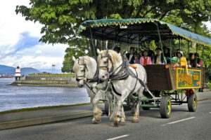 جاذبه های استنلی پارک