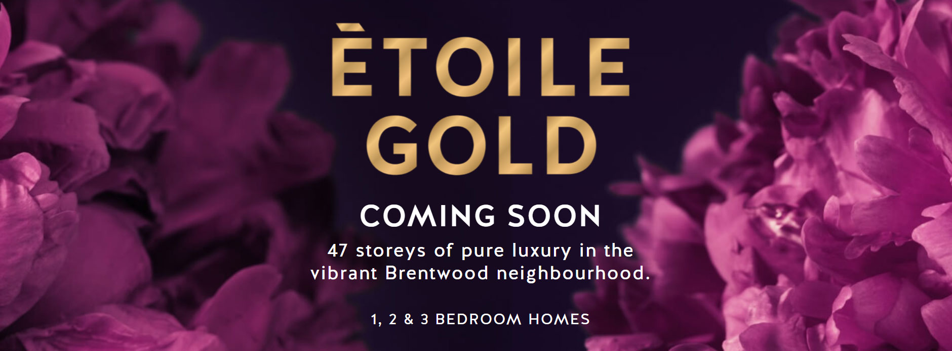 etoile living by Millennium